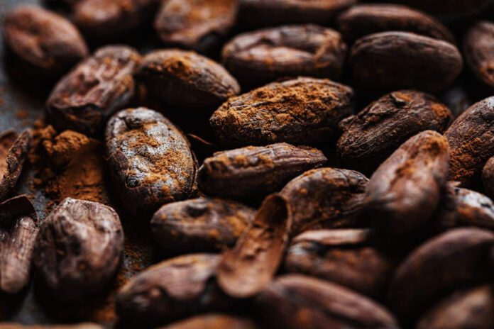 cacao