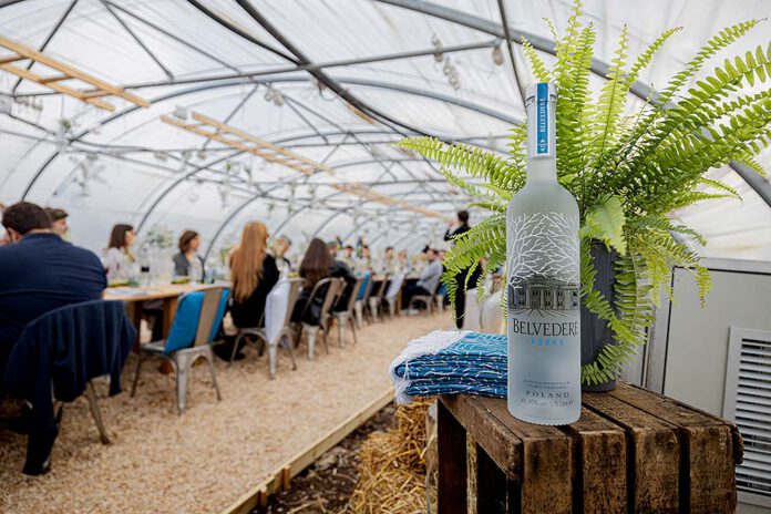 KACHEN Brunch Belvedere