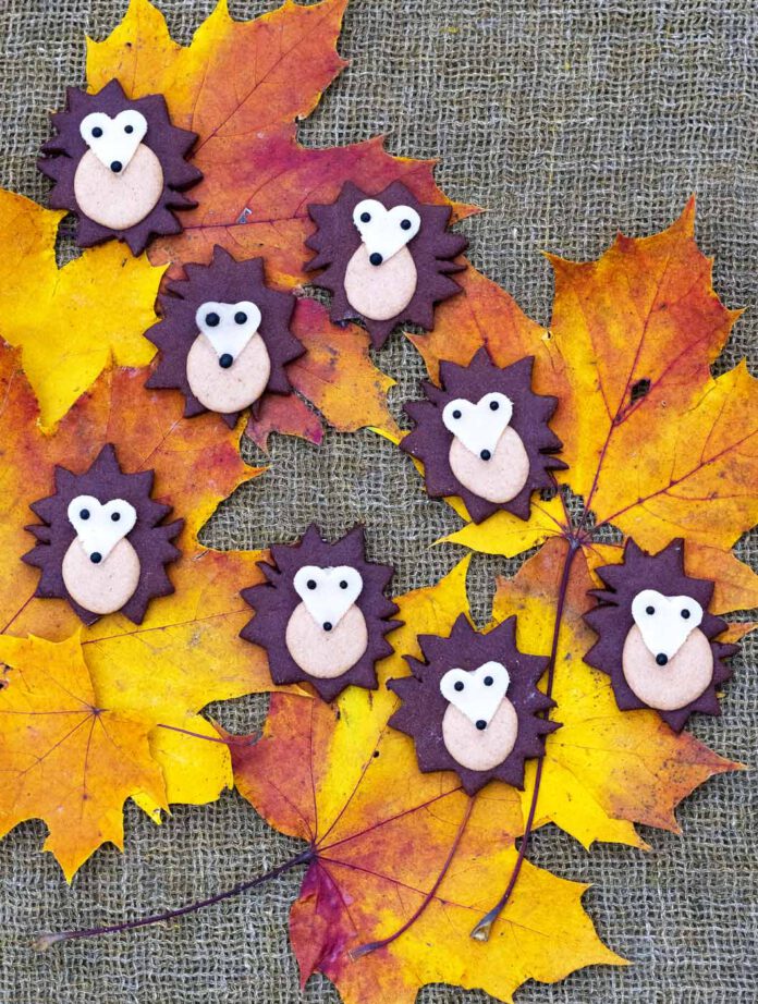 Hedgehog biscuits