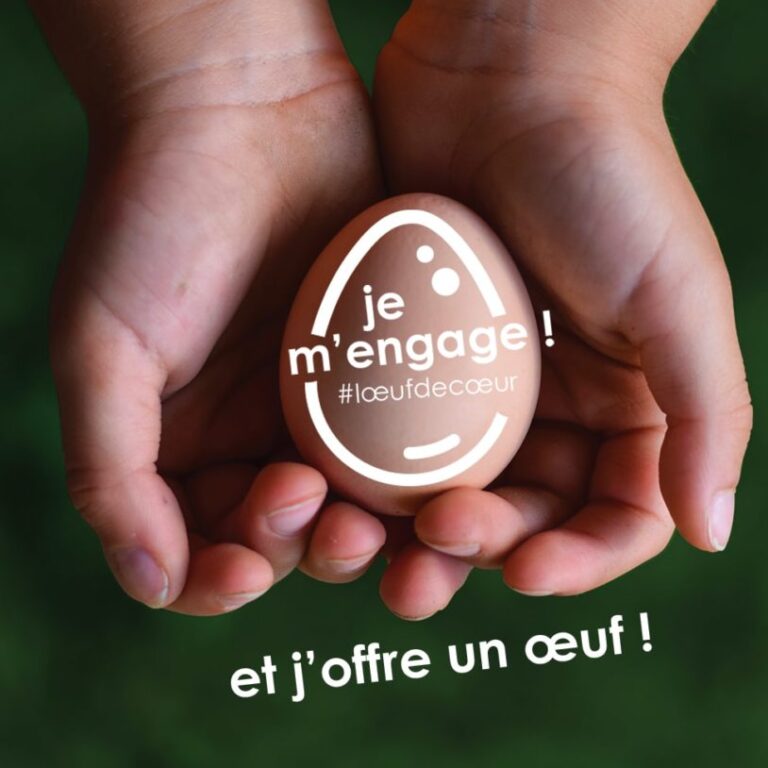 Hands holding an egg with a message