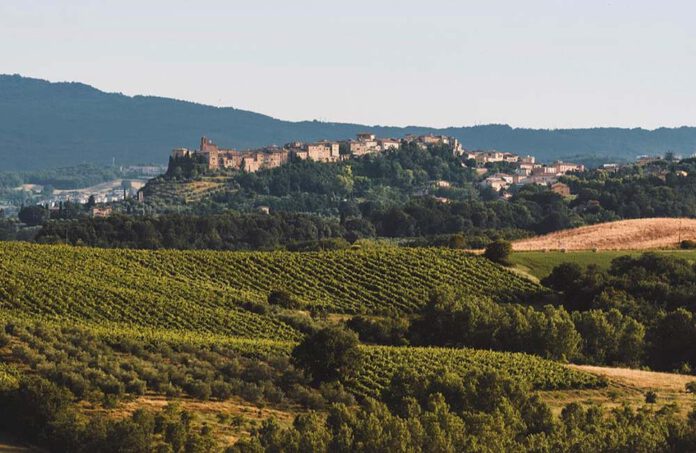 online Tasting True Italian Taste