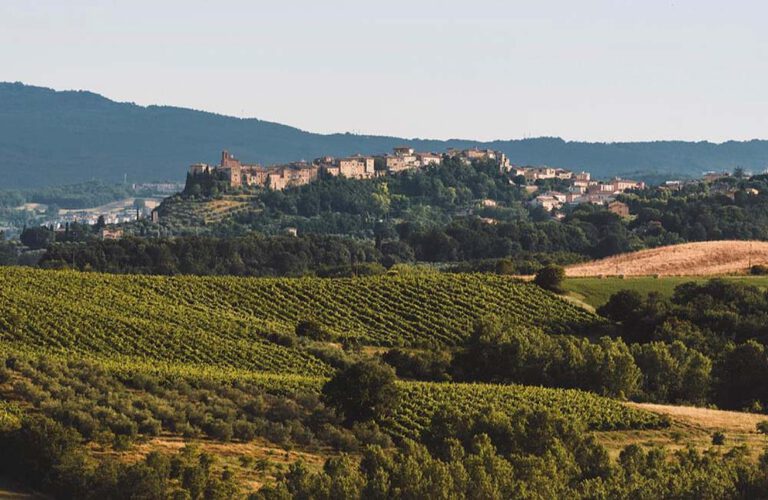 online Tasting True Italian Taste