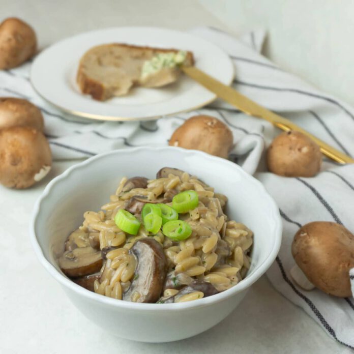 Creamy Mushroom and Boursin Orzo