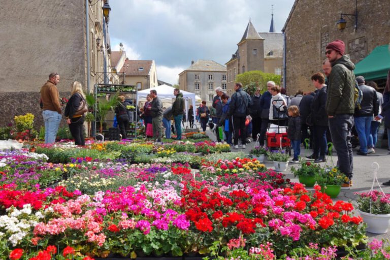 A floral day: the Rodemack Flower Market