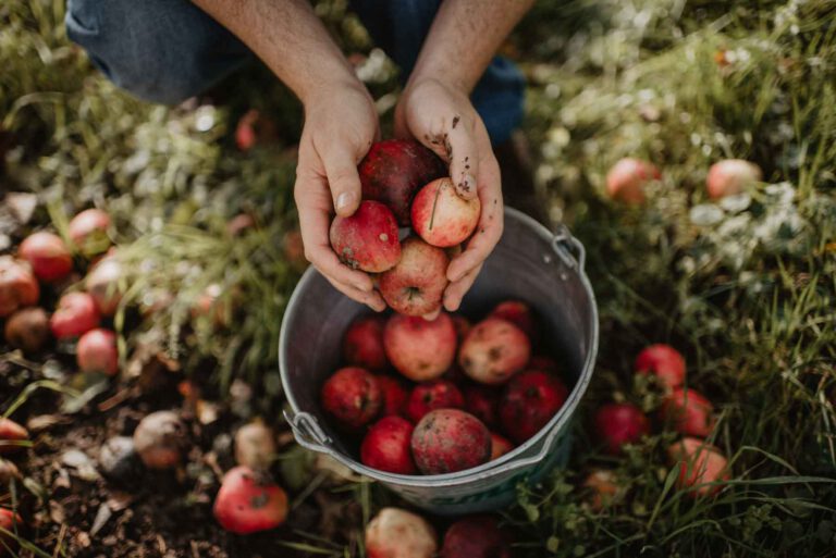 RAMBORN CIDER CO. LÄDT ZUR CITY NATURE CHALLENGE EIN