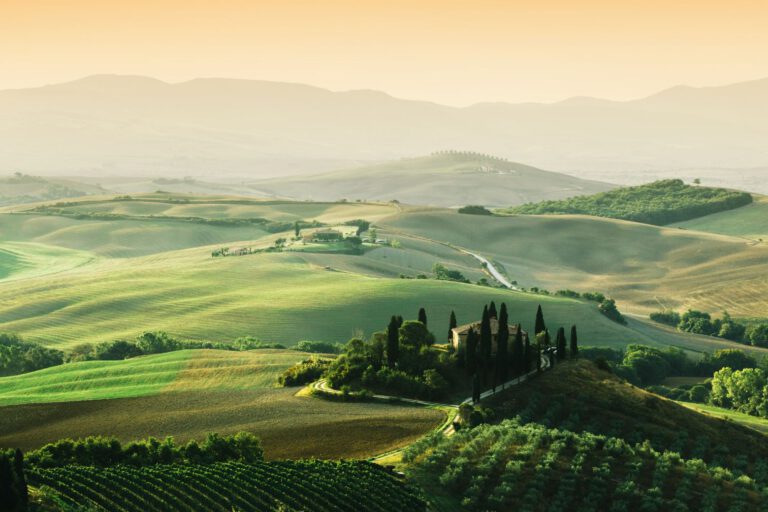 Tuscany – A dynamic Wine Region