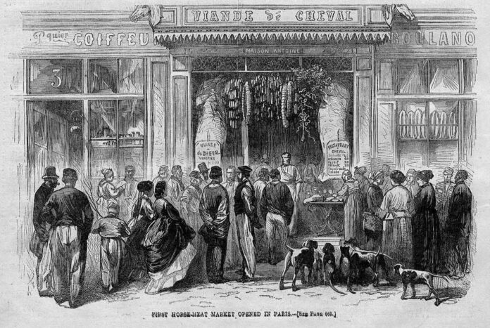 horsemeat history