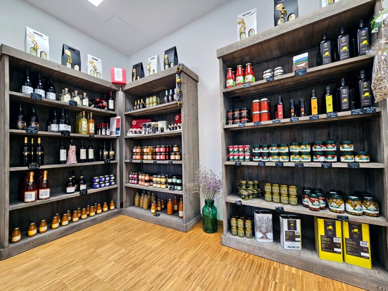 Volio: Italy at First Hand