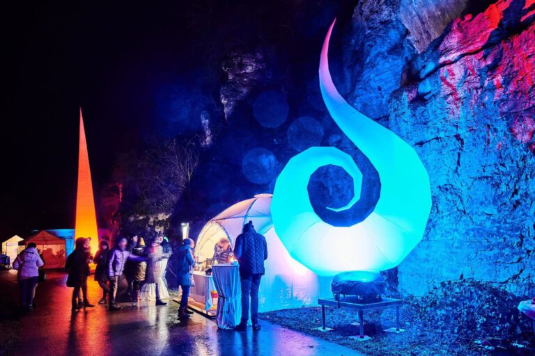 SIP & SEE: WINE LIGHTS ENJOY 2024