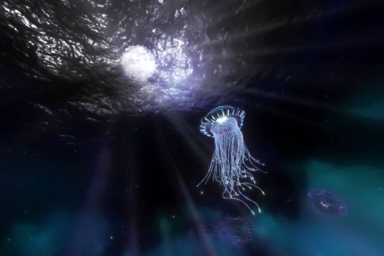 Lemon and Poppy Seed Cake