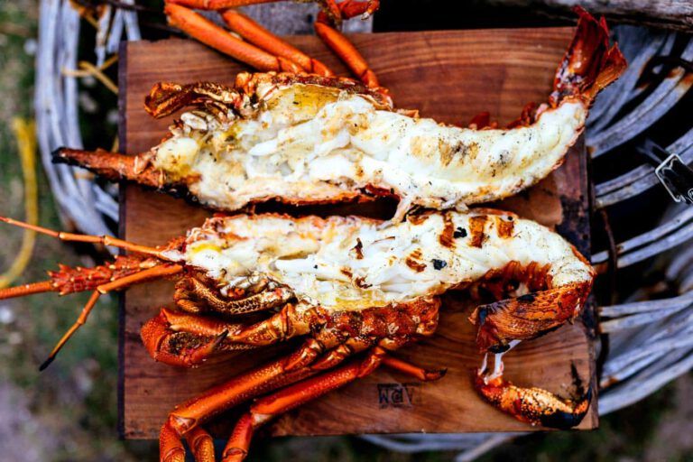 Tasmania – A Journey into Culinary Elysium