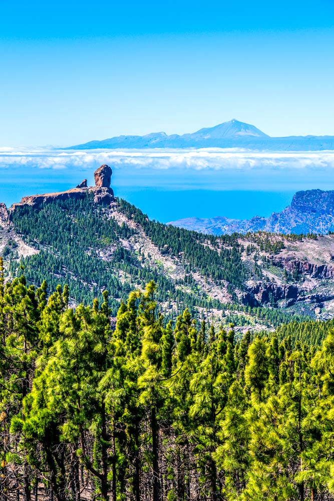 Nature in Its Purest Form