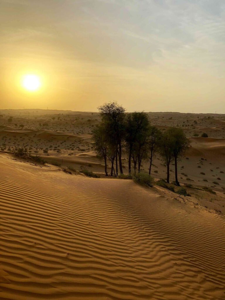 RAS AL-KHAIMAH – PLEIN SOLEIL !