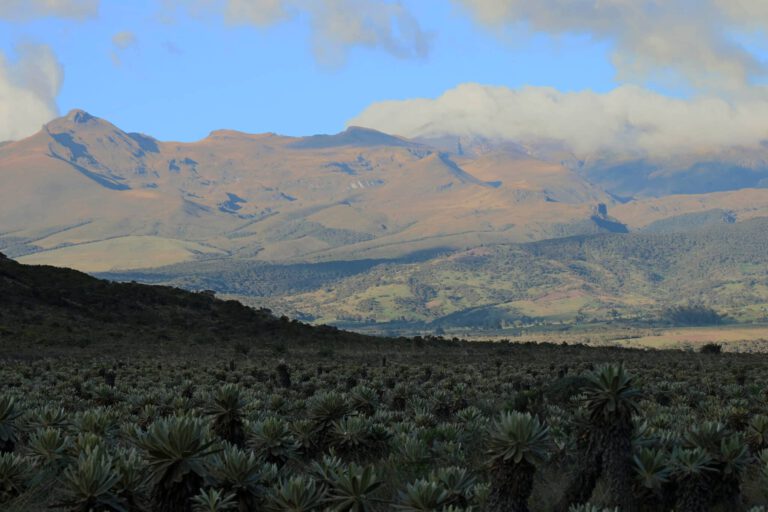 The Great Colombia Journey