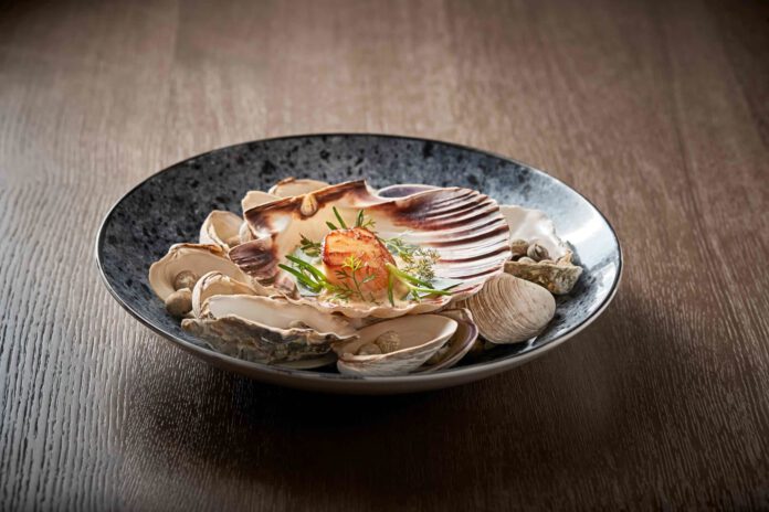 Jakobsmuschel_Klaus-Einwanger