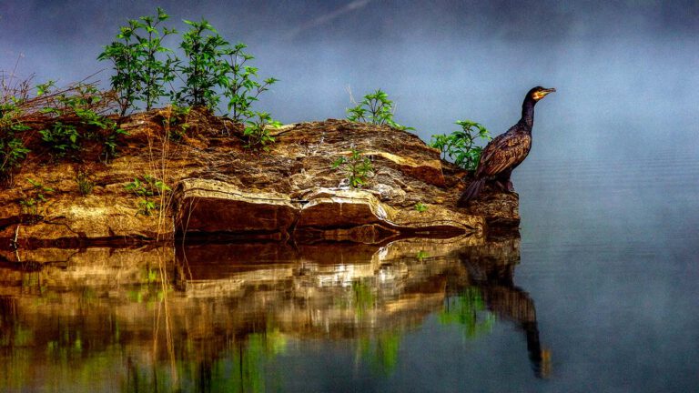 The Yearning Region Éislek