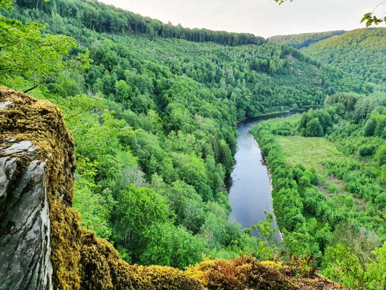 SE RESSOURCER EN GRANDE RÉGION LE TEMPS D’UNE JOURNÉE