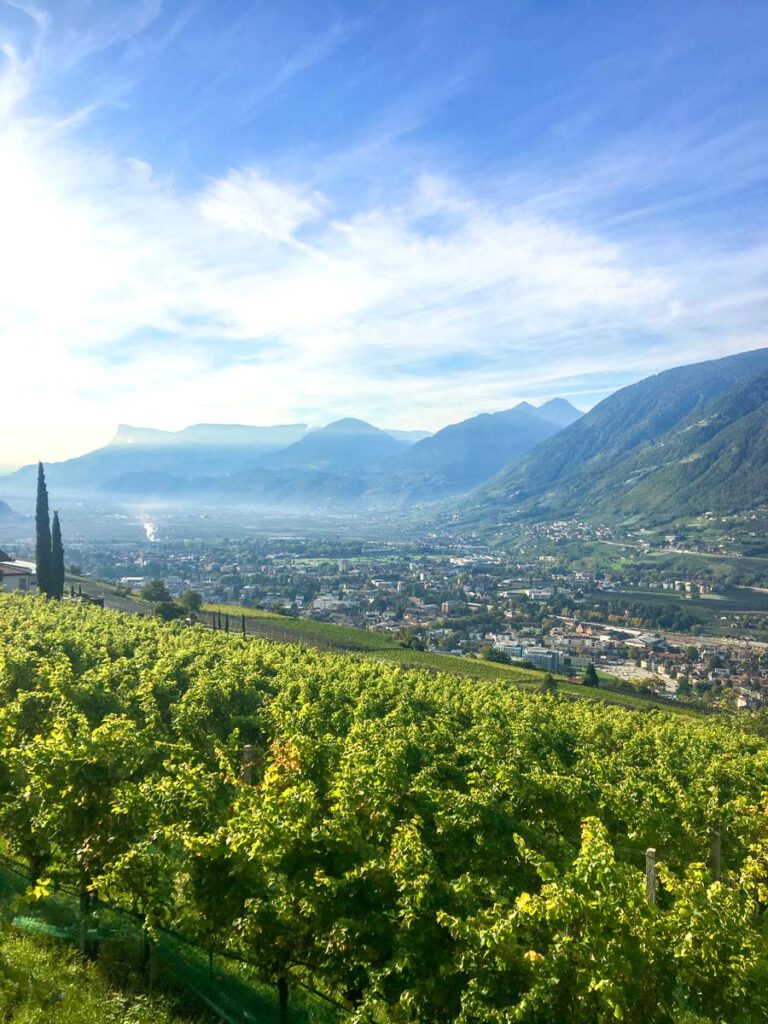 Alpine Grandeur to Fall in Love With