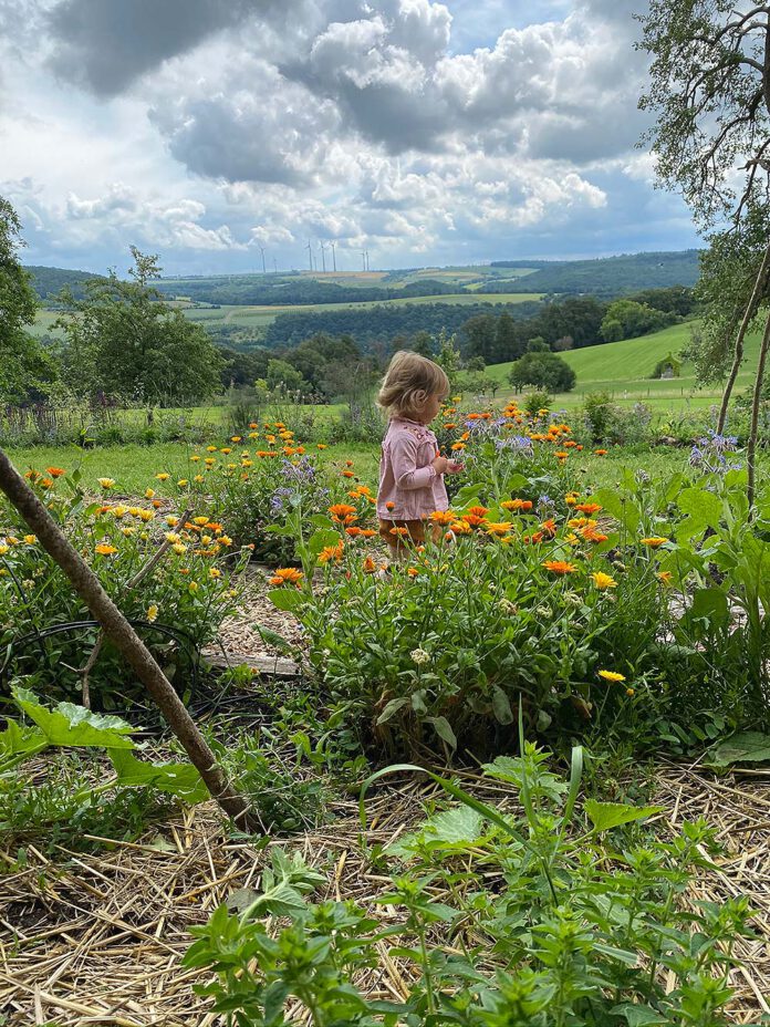 Theresa Baumgärtner