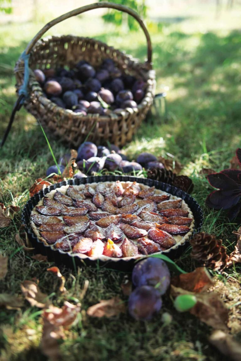 Plum Tart