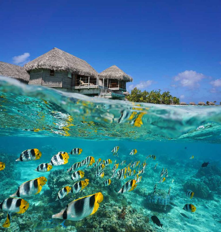LA POLYNÉSIE FRANÇAISE, LE PARADIS TERRESTRE