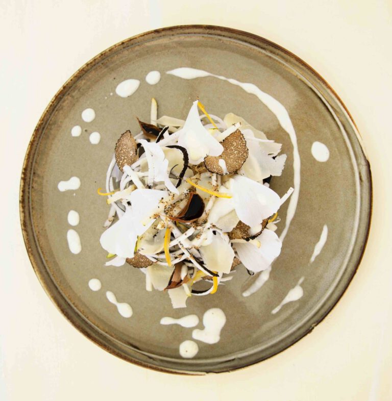 Les racines blanches se déclinent en spaghetti par René Mathieu