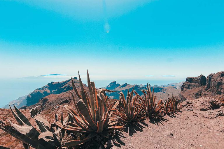 Tenerife, a Volcano Full of Surprises