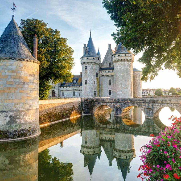 The Castle Life in the Loire Valley