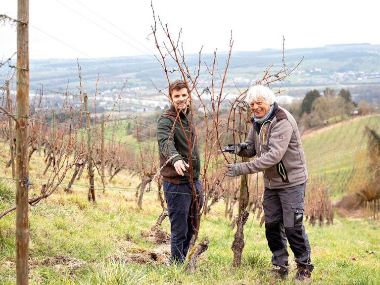 Domaine Goldbierg, Benoît & Claude – From grape to glass
