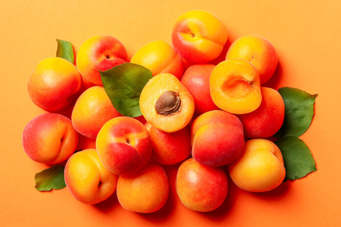 apricots