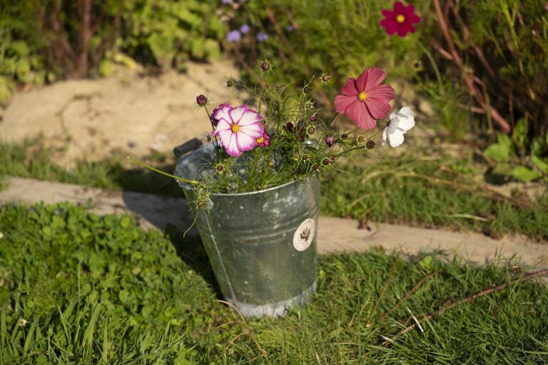 Colorful flowers in a metal bucket outdoors