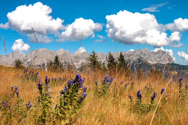 From Wild Emperor to Tame Snails
