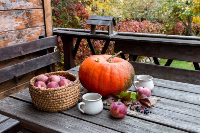 Best-Autumn-Activities Autumn picnic table with pumpkin and apples