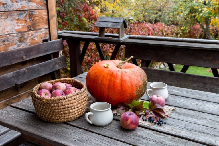 Autumn picnic table with pumpkin and apples