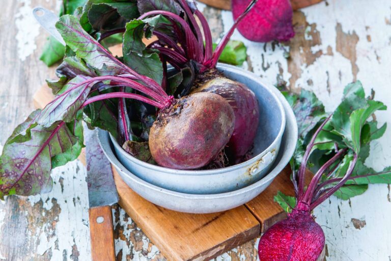 5 Fakten über Rüben