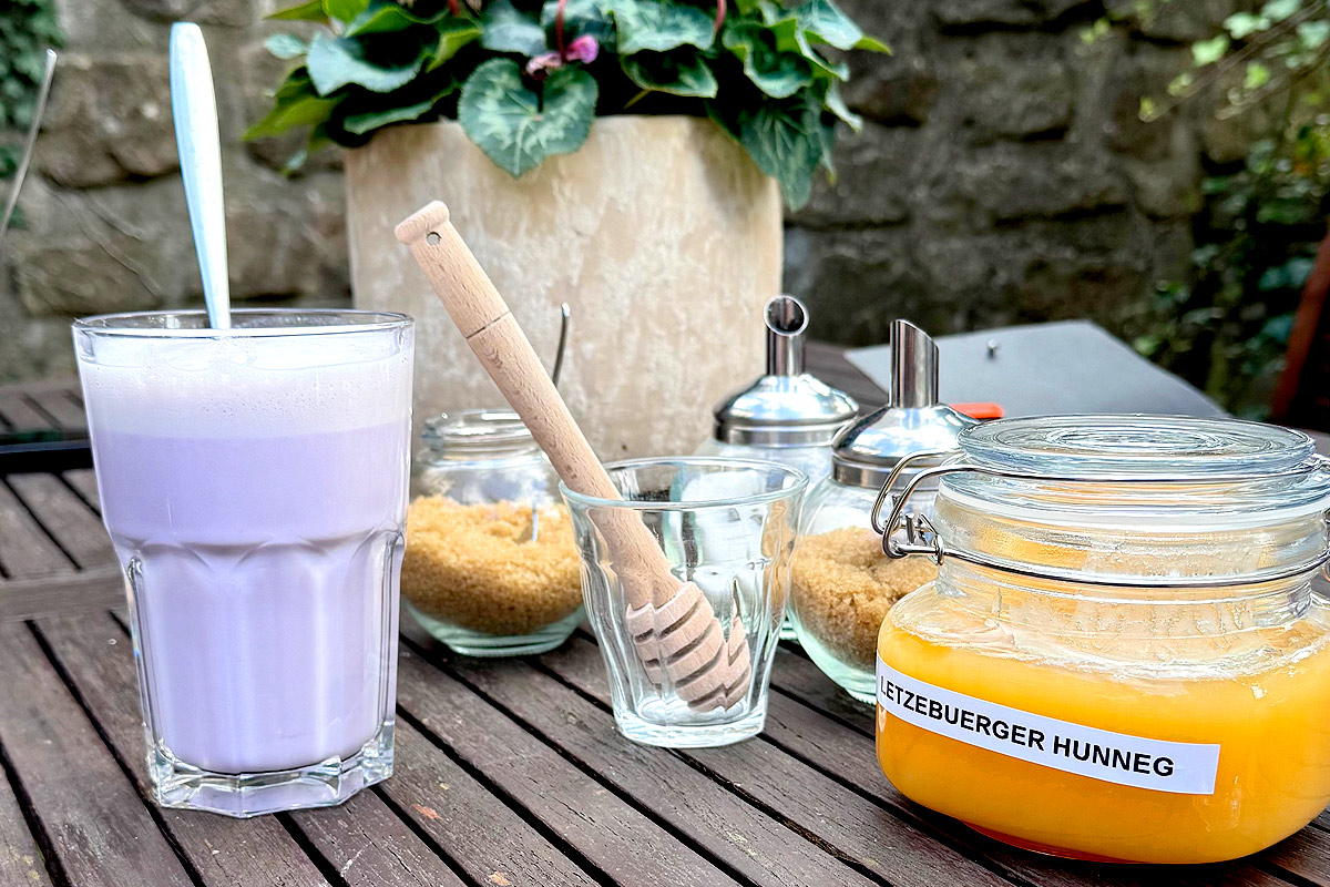 Lavender milkshake with honey and sugar on table.