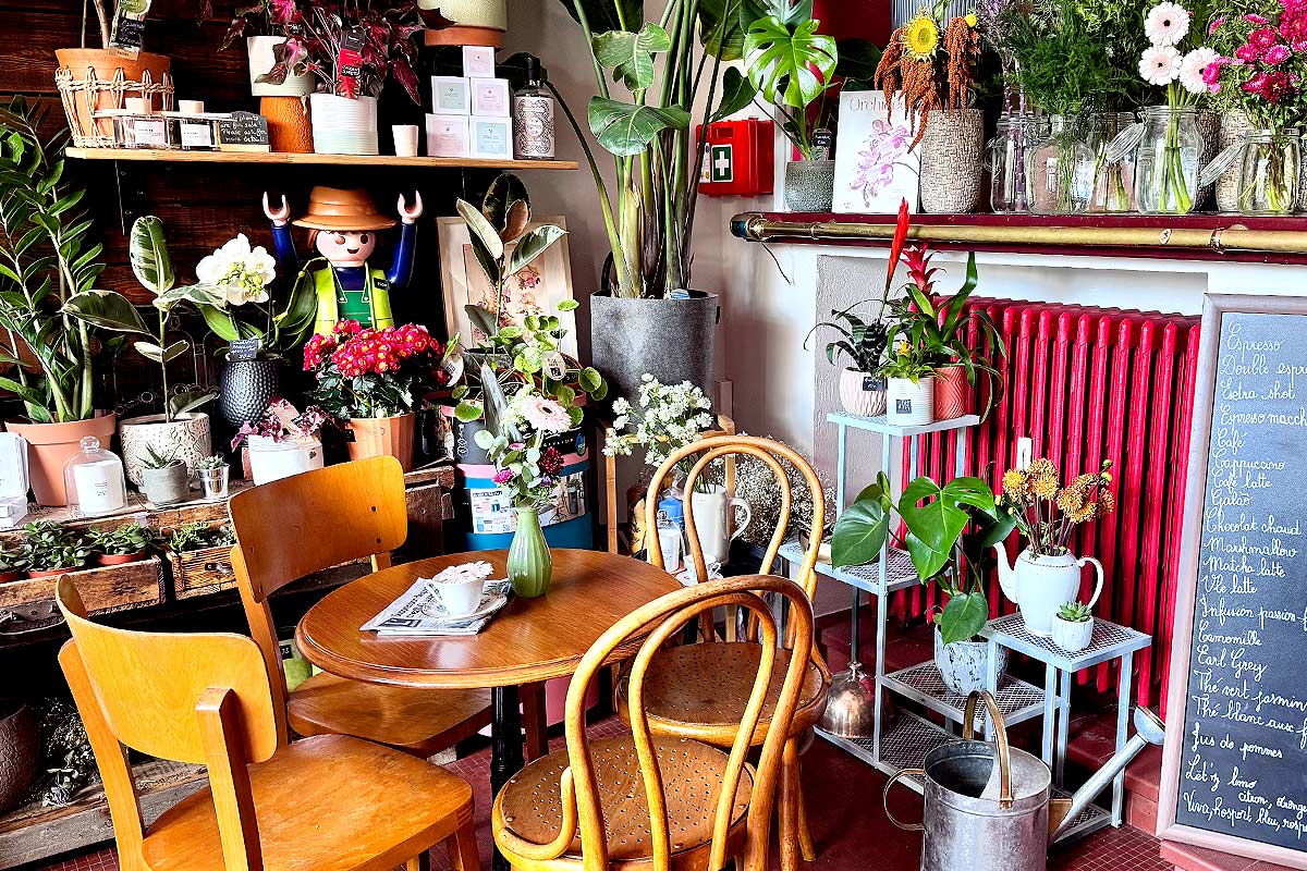 Cozy cafe corner with plants and wooden chairs.
