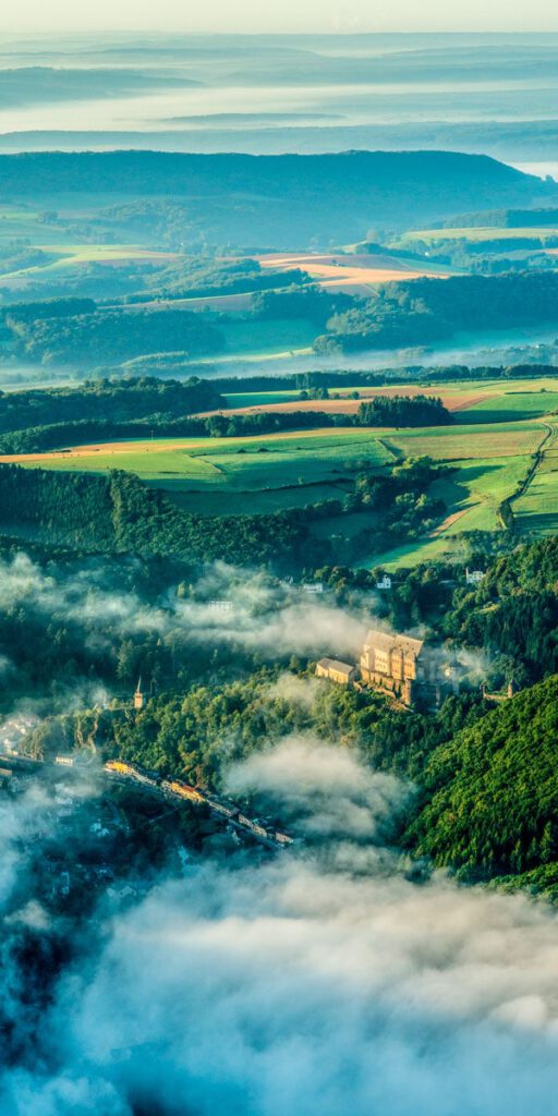 Aerial view of castle surrounded by lush green landscape.