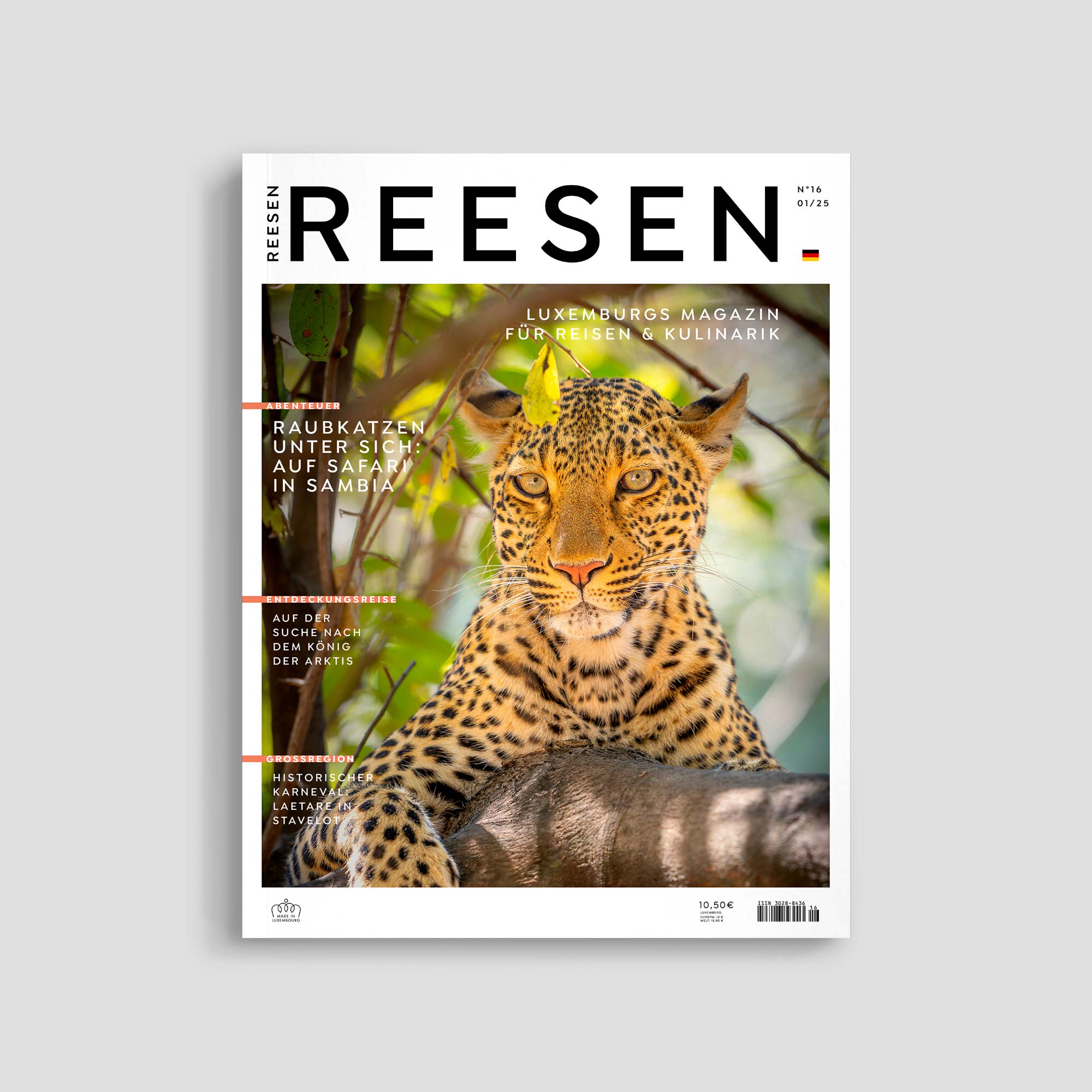 Leopard resting on a tree branch